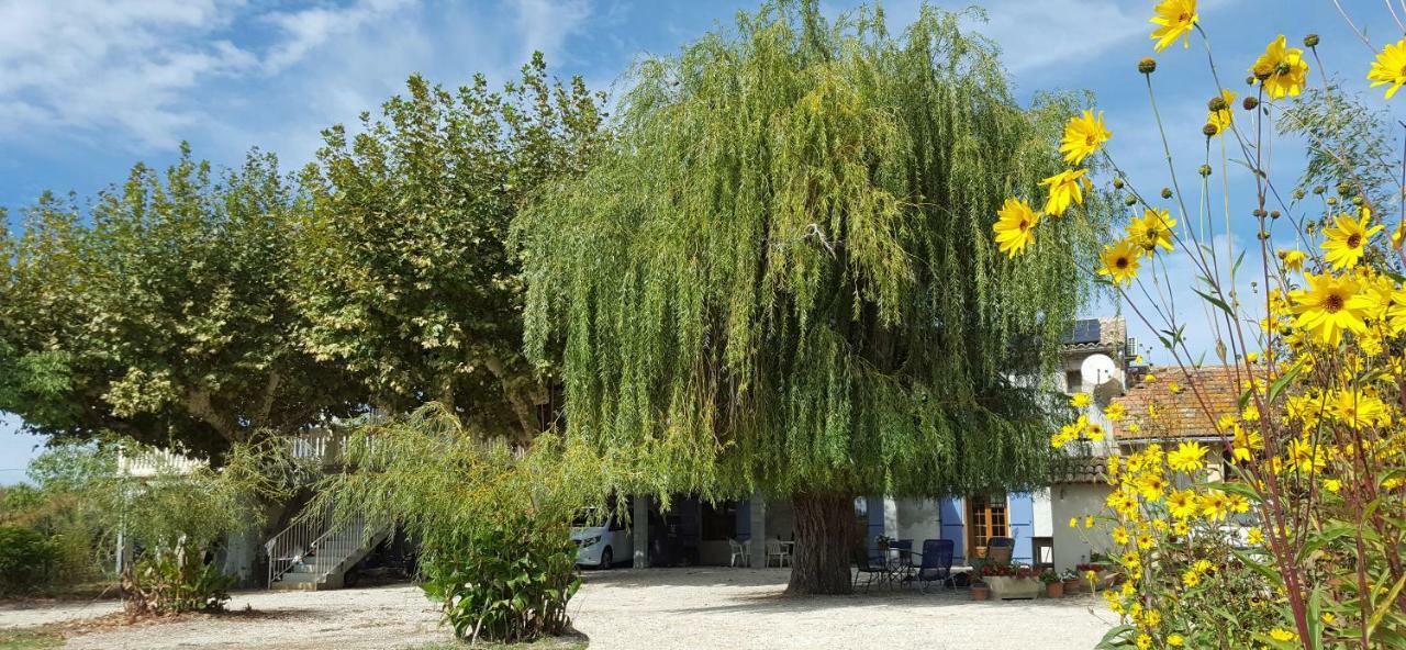 Gasthaus Dreams Of Provence Courthézon Exterior foto